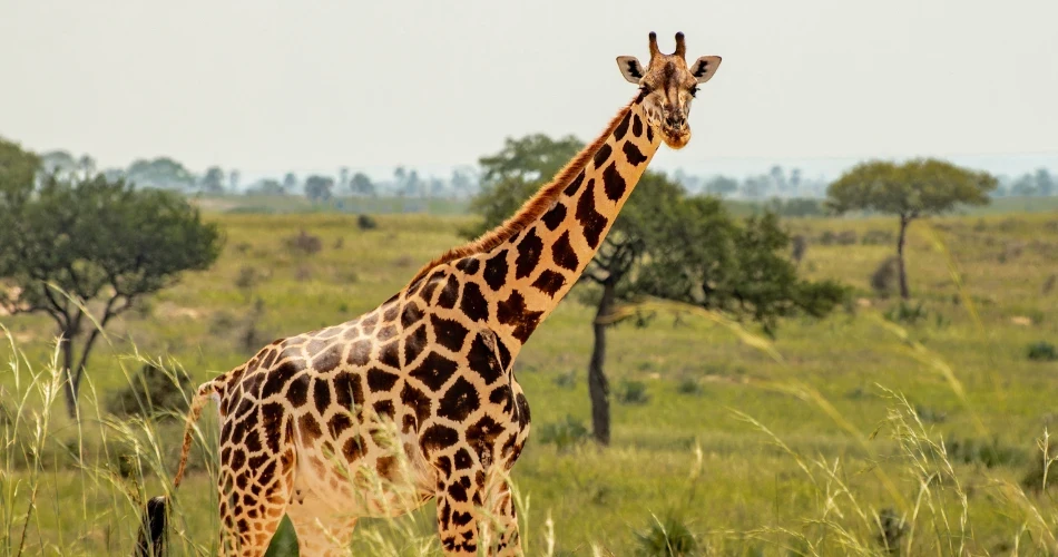 Top Family-Friendly Activities to Enjoy in Los Angeles with Kids